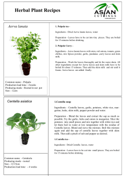 Herbal Plant Recipes