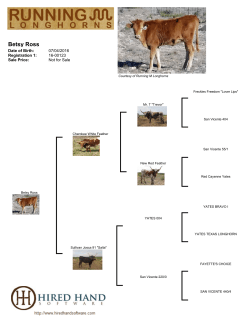 Betsy Ross - Running M Longhorns