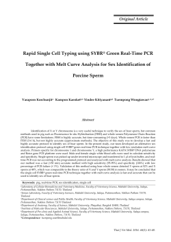 Rapid Single Cell Typing using SYBR&reg; Green Real-Time