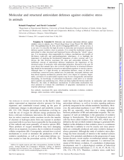 Molecular and structural antioxidant defenses against oxidative