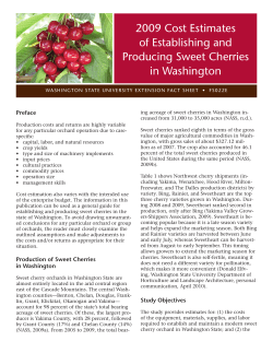 2009 Cost Estimates of Establishing and Producing Sweet Cherries