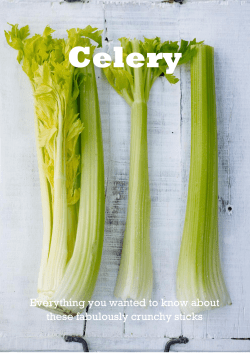 Celery - Love The Crunch