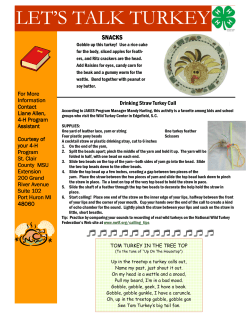 lets talk turkey 3 2012.pub