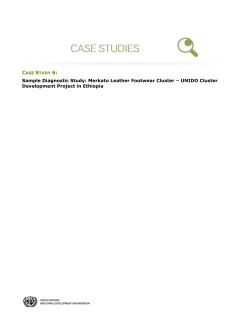 Sample Diagnostic Study: Merkato Leather Footwear Cluster