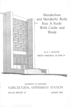 K. L Blaxter - Division Of Animal Sciences