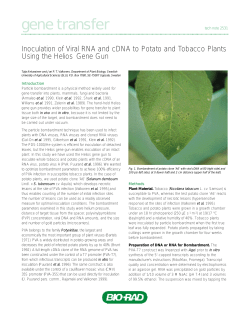 Inoculation of Viral RNA and cDNA to Potato and Tobacco - Bio-Rad