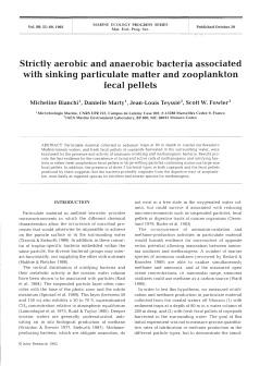 Strictly aerobic and anaerobic bacteria associated with sinking