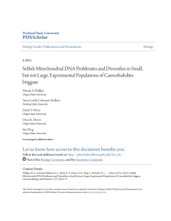 Selfish Mitochondrial DNA Proliferates and Diversifies