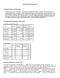 Colonial Slavery DBQ - Norfolk Christian Schools