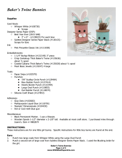 Baker`s Twine Bunnies - Wild West Paper Arts