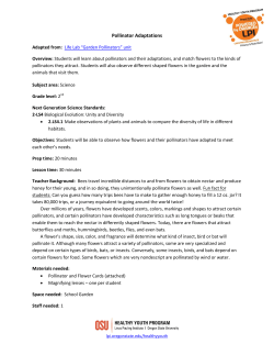 Pollinator Adaptations