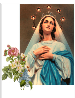 Untitled - immaculate heart of mary chapel