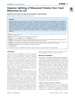 Stepwise Splitting of Ribosomal Proteins from Yeast Ribosomes by