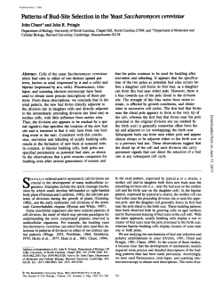 Patterns of Bud-Site Selection in the Yeast Saccharomyces cerevisiae