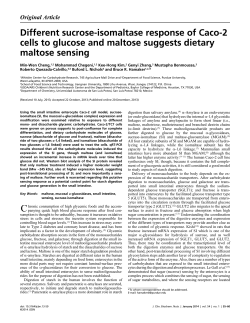 Different sucrose isomaltase response of Caco 2 cells to glucose
