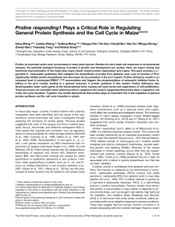 Proline responding1 Plays a Critical Role in