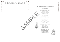 Grasses and Weeds