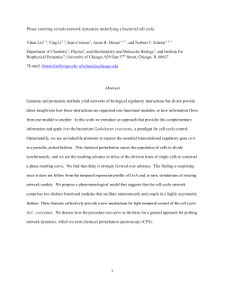 Phase resetting reveals network dynamics