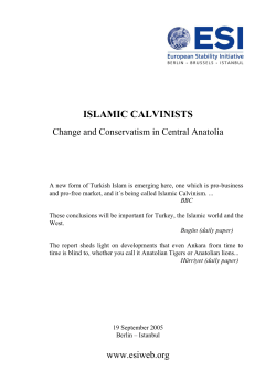 Islamic Calvinists - European Stability Initiative