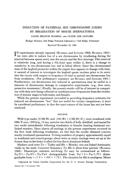INDUCTION OF PATERNAL SEX CHROMOSOME