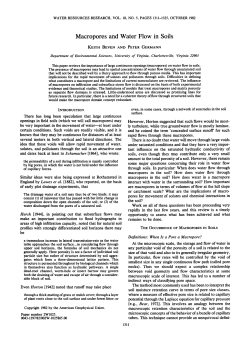 Macropores and water flow in soils