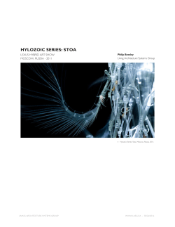 hylozoic series: stoa