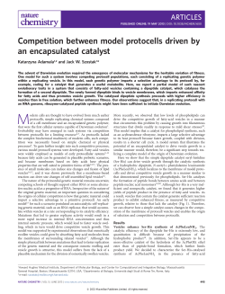 Competition between model protocells driven by an encapsulated