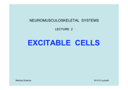 EXCITABLE CELLS