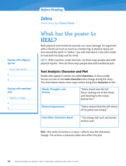 Zebra - Kendal Privette