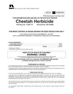 24(c) Supplemental Label template rv080107.qxd