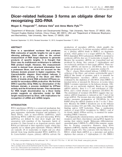 Dicer-related helicase 3 forms an obligate dimer for recognizing 22G