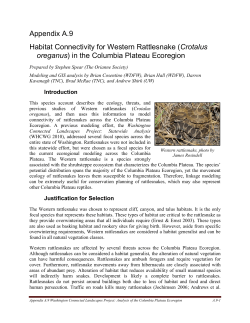 Connectivity for Western Rattlesnake in the Columbia Plateau
