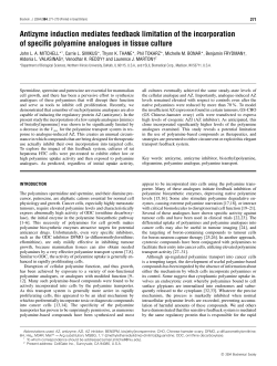Antizyme induction mediates feedback limitation of the incorporation