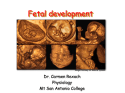 (22) Fetal Development