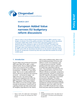 Policy Brief - Clingendael