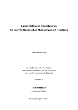 Lipase Catalyzed Aminolysis as An Entry to Consecutive