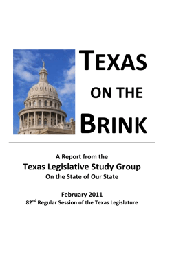 Texas on the Brink - Senator Eliot Shapleigh
