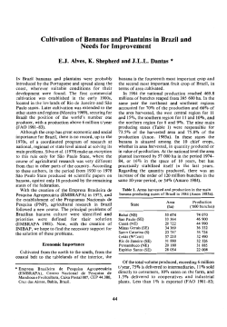 Cultivation of Bananas and Plantains in Brazil and Needs