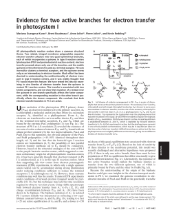 Evidence for two active branches for electron transfer in photosystem I