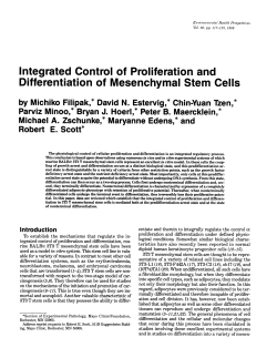 Differentiation of Mesenchymal Stem Cells