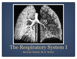 The Respiratory System I
