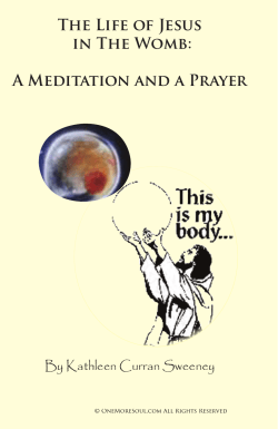The Life of Jesus in The Womb: A Meditation and a