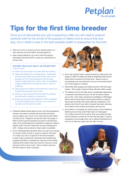 PP 4461 Breeder Factsheets.indd