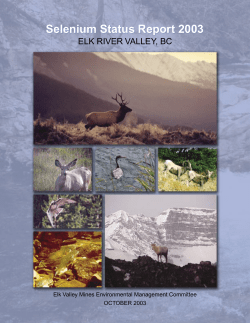 Selenium Status Report 2003