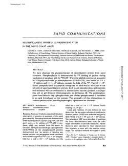 rapid communications - The Journal of Cell Biology