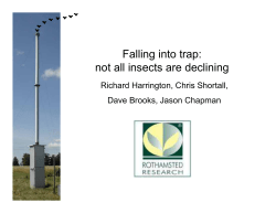 Falling into trap: not all insects are declining