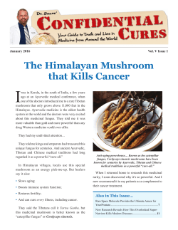 The Himalayan Mushroom that Kills Cancer
