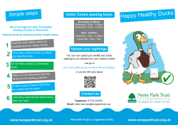 Duck Feeding Leaflet