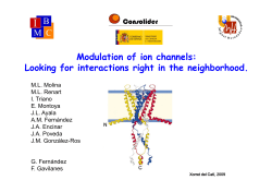 Diapositiva 1 - the spanish ion channel initiative