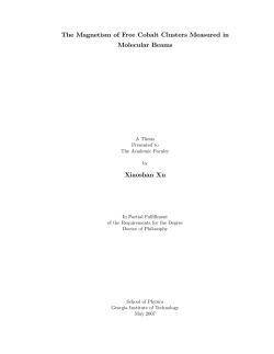 The Magnetism of Free Cobalt Clusters Measured in Molecular